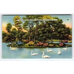 Robinson Crusoe Island Sunset Lake Swans Geese Postcard Asbury Park New Jersey